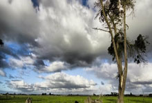 辉哥说体育4小时前.