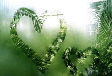 东升国际官网：冠军｜宋晓波：至暗时刻 反转巅峰.