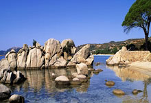 湖人1签1裁：裁掉雷迪什 转正古德温可打季后赛+商讨签两年合同.